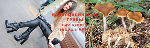 хмурый Алзамай