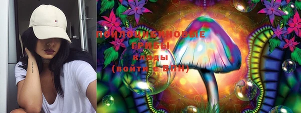 хмурый Алзамай