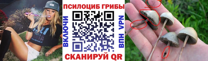 Псилоцибиновые грибы мухоморы  Далматово 